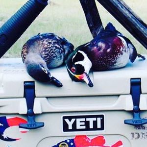 Meet your Posher, Will